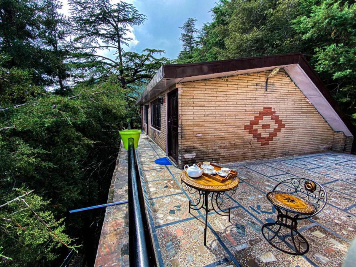 Jakhu Vibes Shimla Buitenkant foto